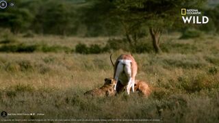 LECON POUR L'AES ET L'AFRIQUE NOIRE